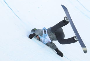 单板滑雪 索契冬奥会冠军出现失误